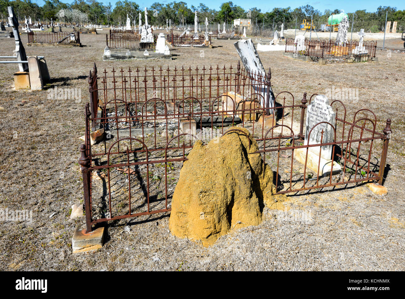 Grab mit einem termitenhügel Damm, Pioniere Friedhof, Mareeba, Atherton Tablelands, Far North Queensland, Australien Stockfoto