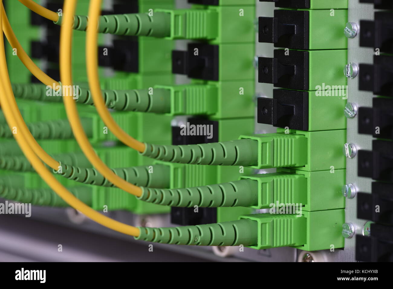 Fibre optische Netzwerkkabel Stockfoto