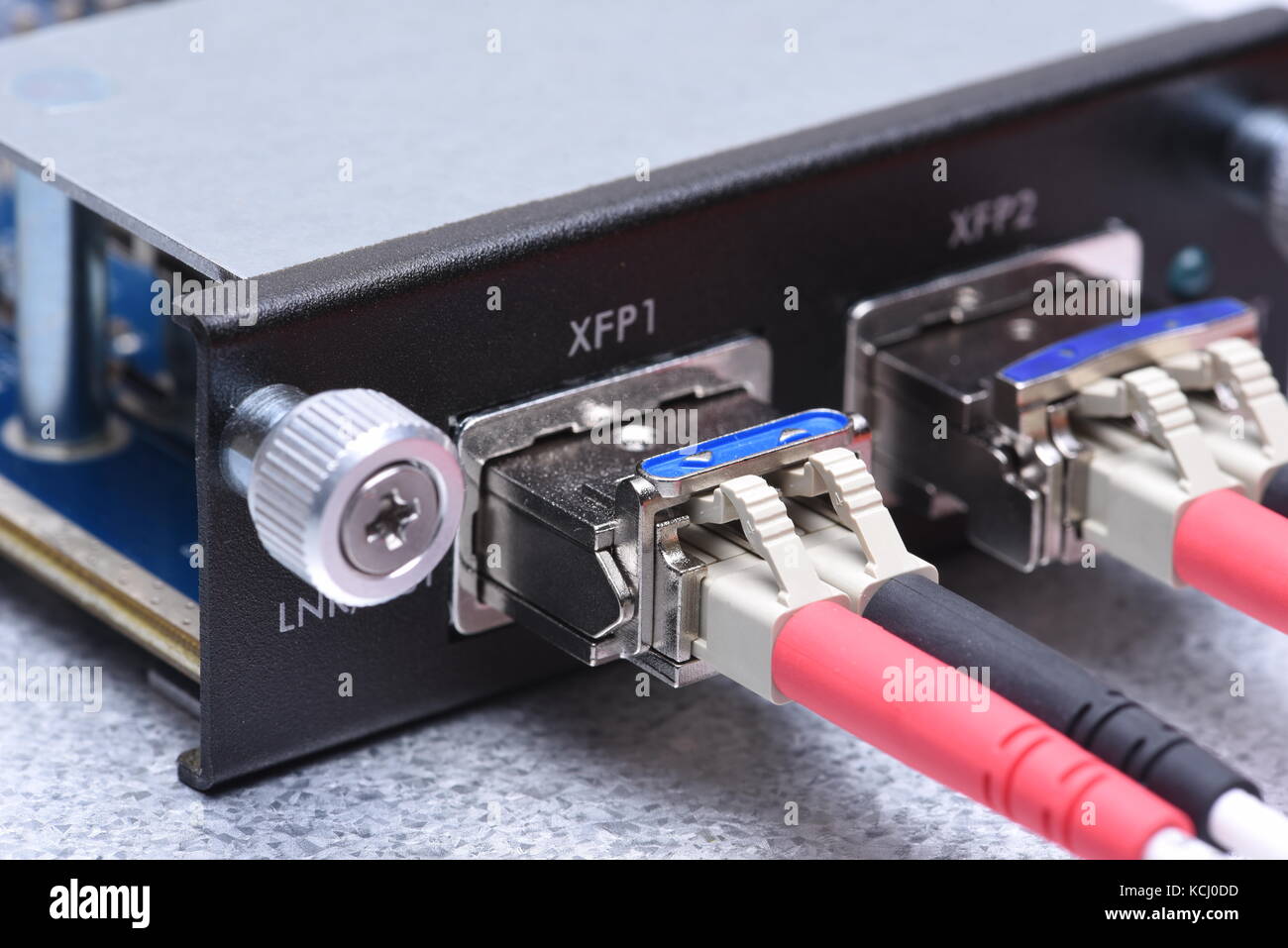 Netzwerk Kabel aus optischen Fasern verbunden mit Gigabit Interface Converter Stockfoto