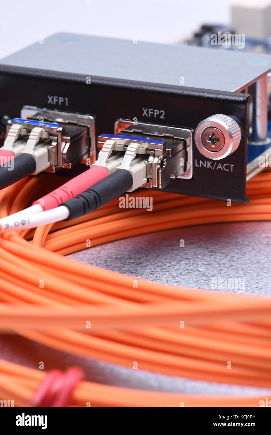 Netzwerk Kabel aus optischen Fasern verbunden mit Gigabit Interface Converter Stockfoto