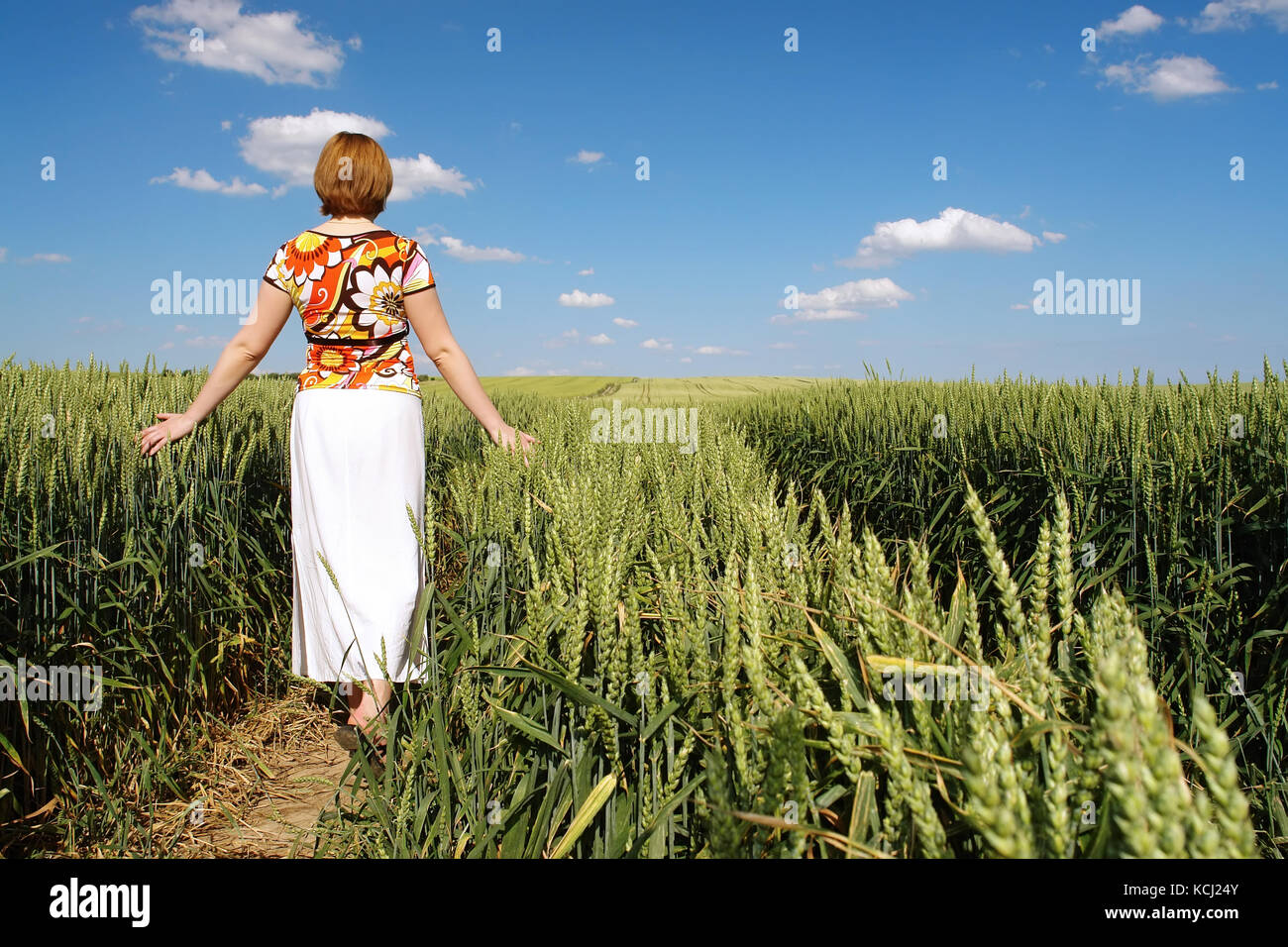 Frau in geblümte Bluse und weißen Rock romantisch Spazieren durch Weizen fein skimming Mais Ohren mit ihren Handflächen Stockfoto