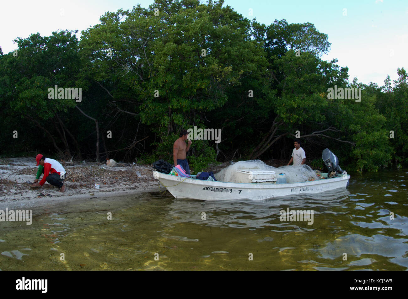 Mexikanischen Illegalen kommerziellen Fischern gill Verrechnung und illegal töten Snook, tarpon in der entfernten Bäche und Flüsse von Campeche Yucatan Mexiko Stockfoto