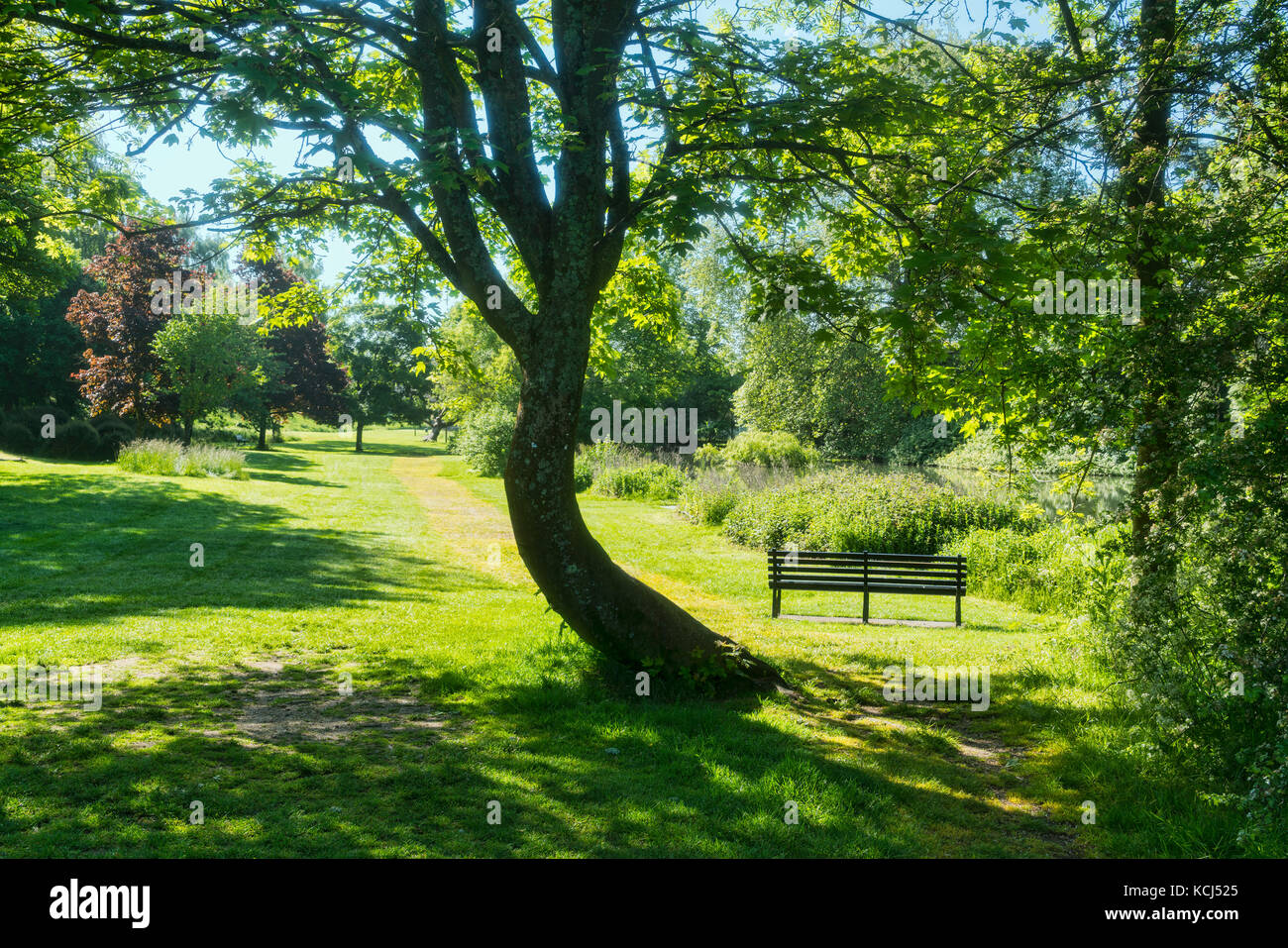 Cirencester; Park, Gloucestershire, UK; England Stockfoto