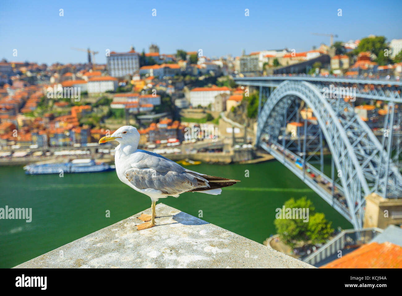 Porto skyline Seagull Stockfoto