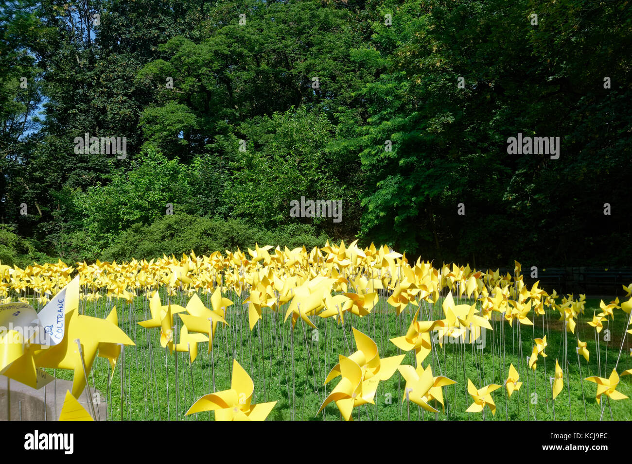 Tausende gelbe Pinwheels angezeigt, wie eine Kunstinstallation in Prospect Park, Brooklyn anläßlich des 150. Jahrestages der Park zu feiern. Stockfoto