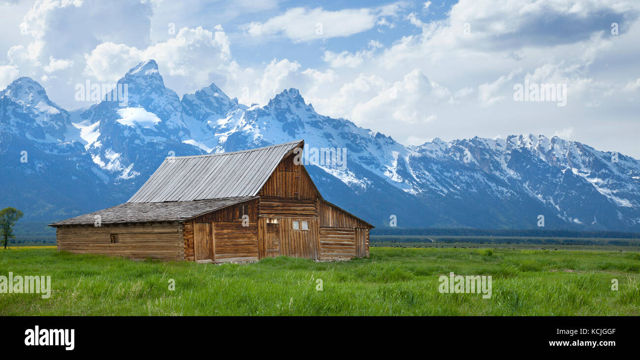 Die t. a. molton Scheune sitzt in einer Wiese unterhalb des Grand Teton Mountains in Wyoming Stockfoto