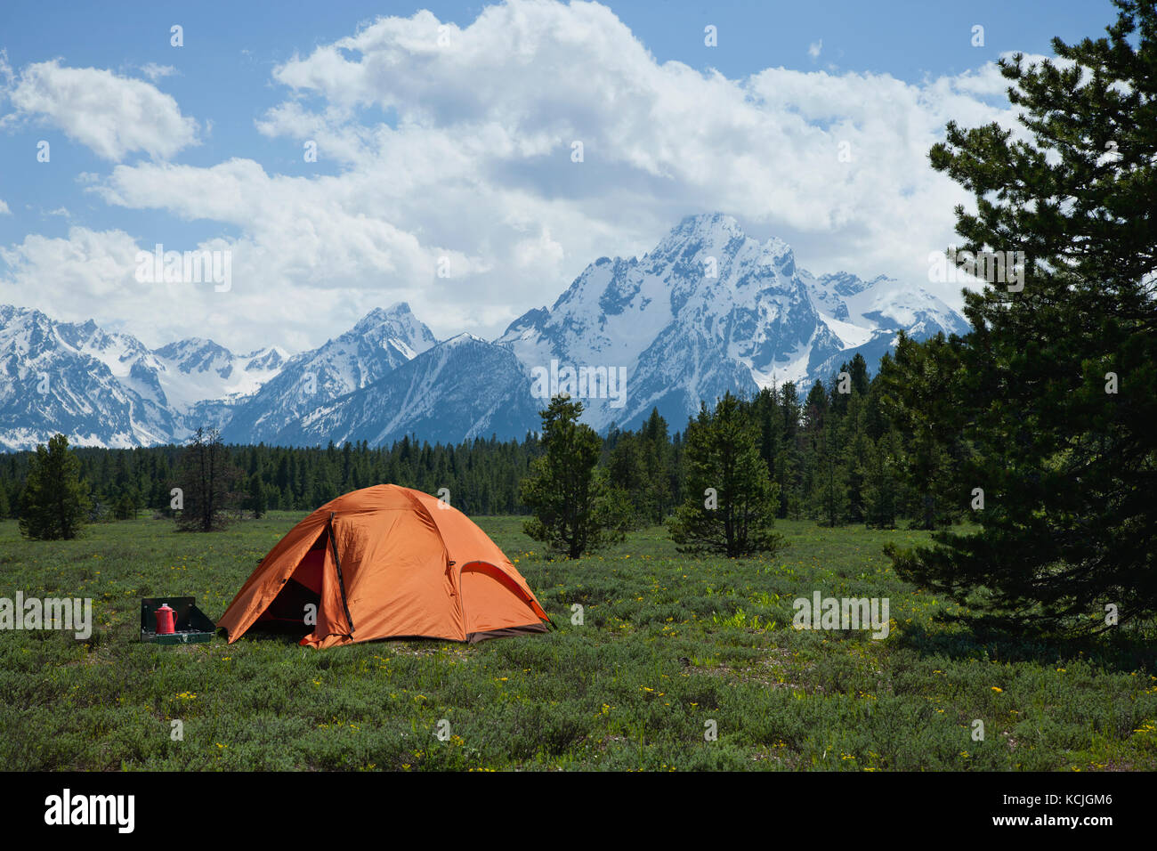 Eine orange Zelt sitzt auf einer Wiese, von Pinien unterhalb des Grand Teton Bergkette umgeben Stockfoto