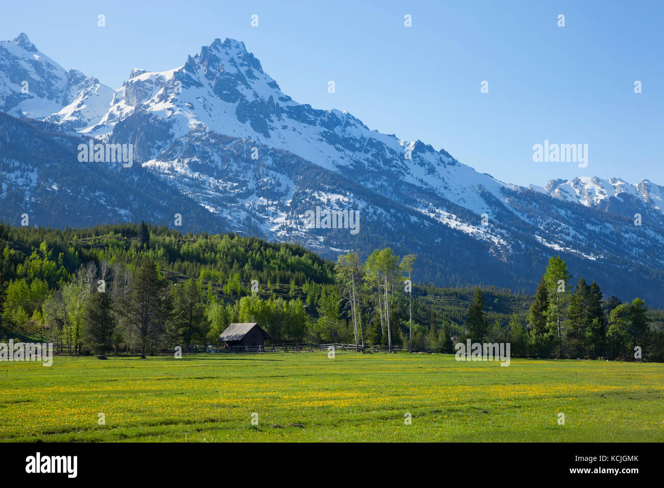 Scheune und Zaun von Horse Ranch unter der majestätischen Grand Teton Mountains in Wyoming Stockfoto