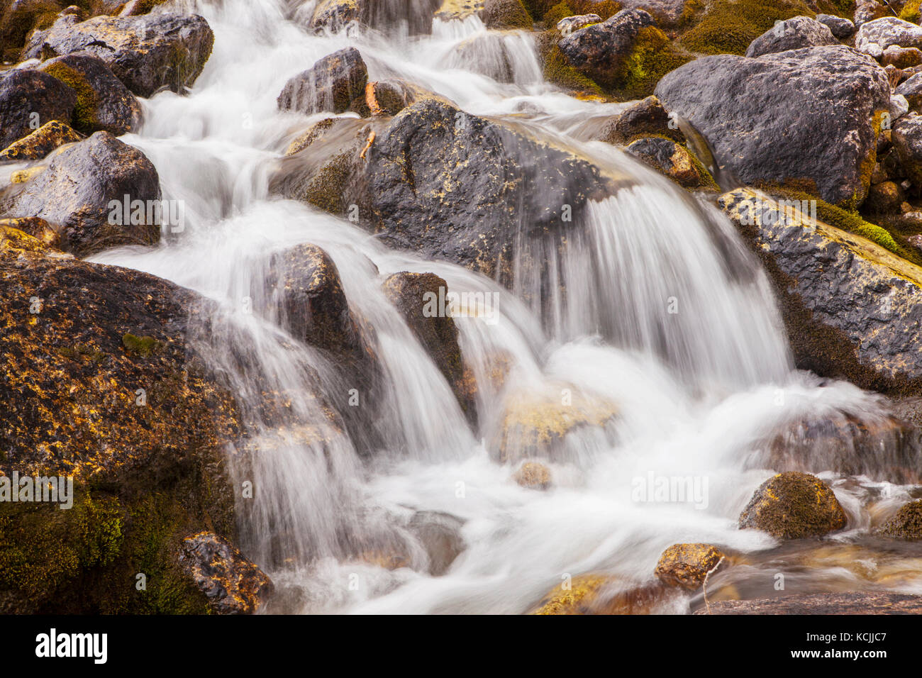Ein cascading Creek in Bugaboo Provincial Park, Purcell, British Columbia, Kanada. Stockfoto