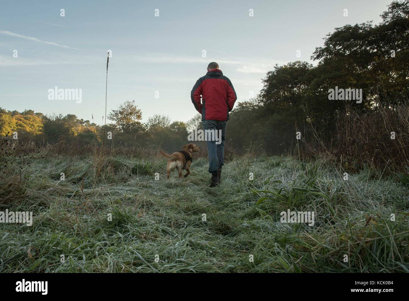 Cardiff, Wales, Großbritannien, Oktober 6 2017. Ein Mann und Hund Spaziergang durch den ersten Morgen Frost der Saison. Credit: mark Hawkins/alamy leben Nachrichten Stockfoto