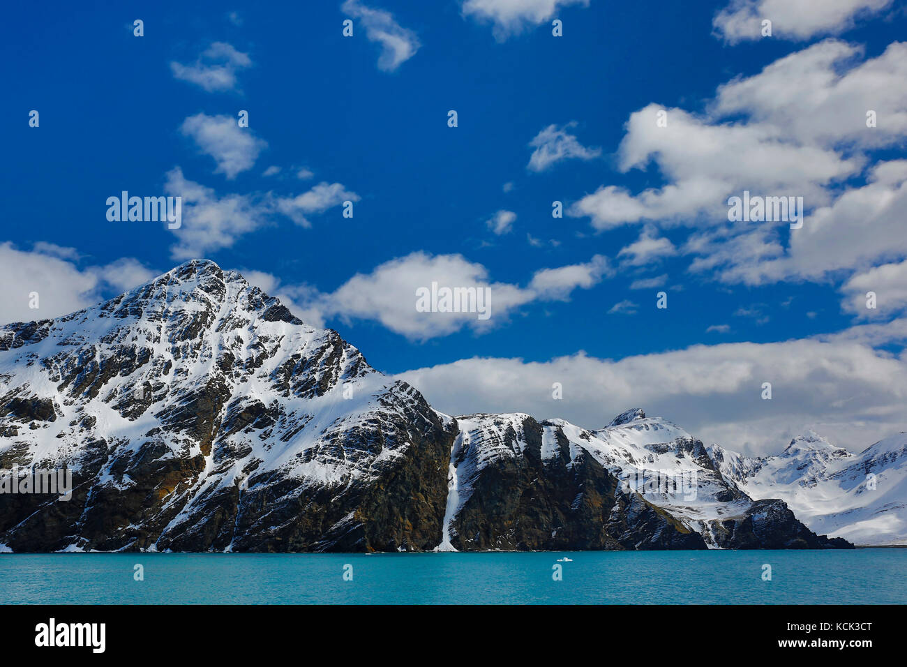 Die schneebedeckten Berge mit blauen Wasser im Südgeorgien und die Südlichen Sandwichinseln Stockfoto