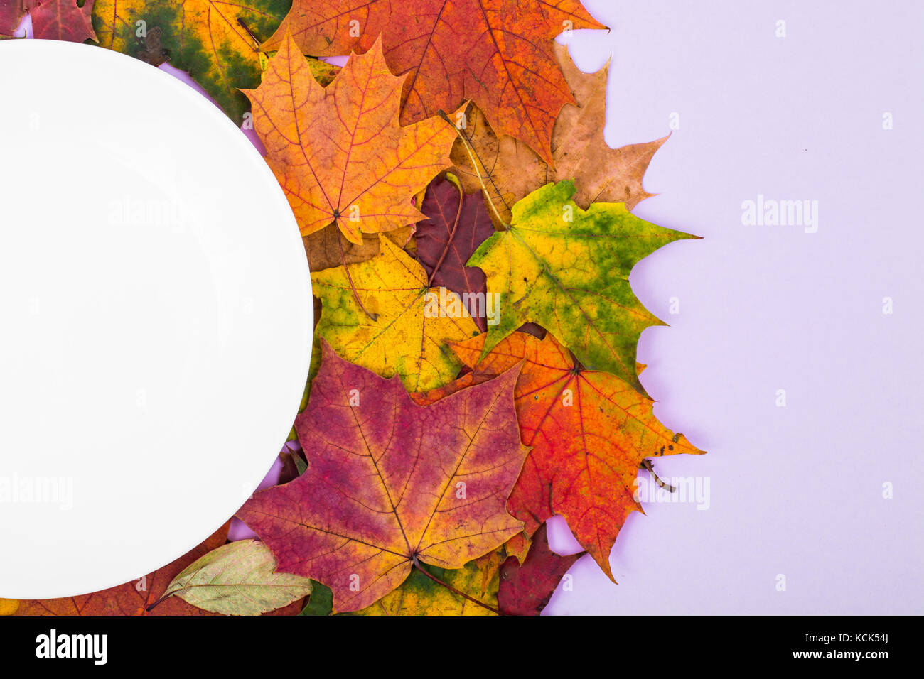 Weiße Platte auf dem Hintergrund der Blätter im Herbst für saisonale Speisekarte. studio Foto Stockfoto