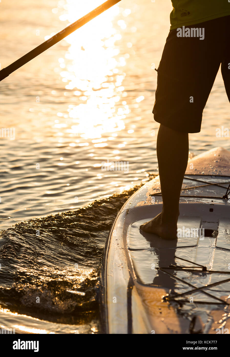 Eine untergehende Sonne beleuchtet einen Stand Up Paddle Boarder, der in Comox Bay paddelt. Comox, Vancouver Island, British Columbia, Kanada. Stockfoto