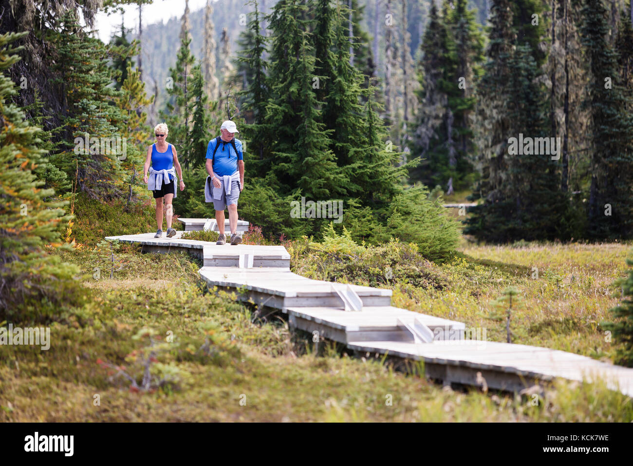 Ein älteres Paar geht entlang einer Reihe von Boardwalks, die für Tageswanderer gebaut wurden, die Paradise Meadows in der Nähe von Mt. Washington. Paradise Meadows, Strathcona Park, Vancouver Island, British Columbia, Kanada. Stockfoto