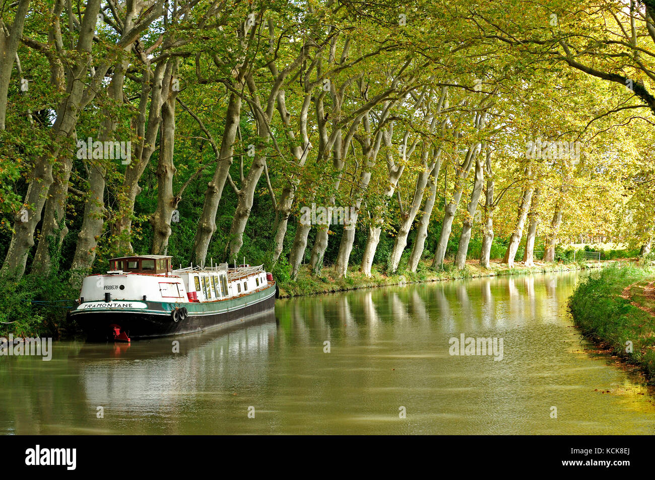 Canal du Midi in der Nähe von Le Somail, Aude, languedoc-Roussillon, Frankreich Stockfoto