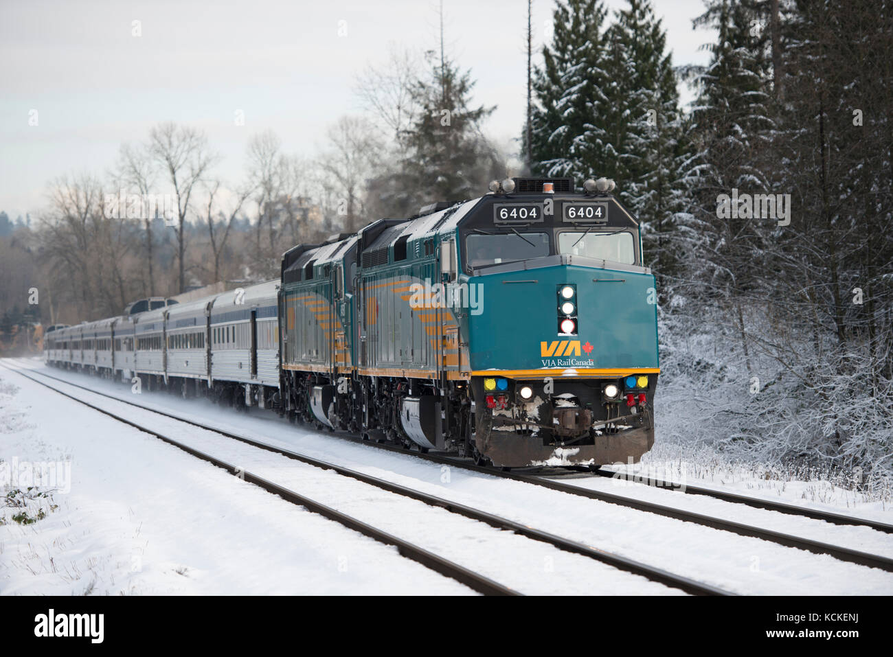 VIA Rail kanadischen Zug Nr. 1 durch Burnaby, British Columbia, Kanada. Stockfoto