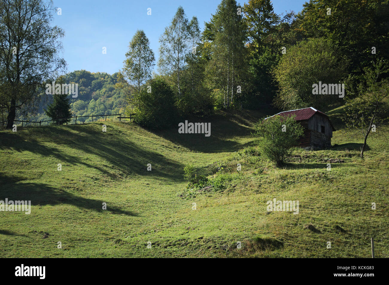 Landschaft, Häuschen auf dem Hügel, grüne wellige Wiese mit langen Schatten der umliegenden Bäume, ländliche Bild. Stockfoto