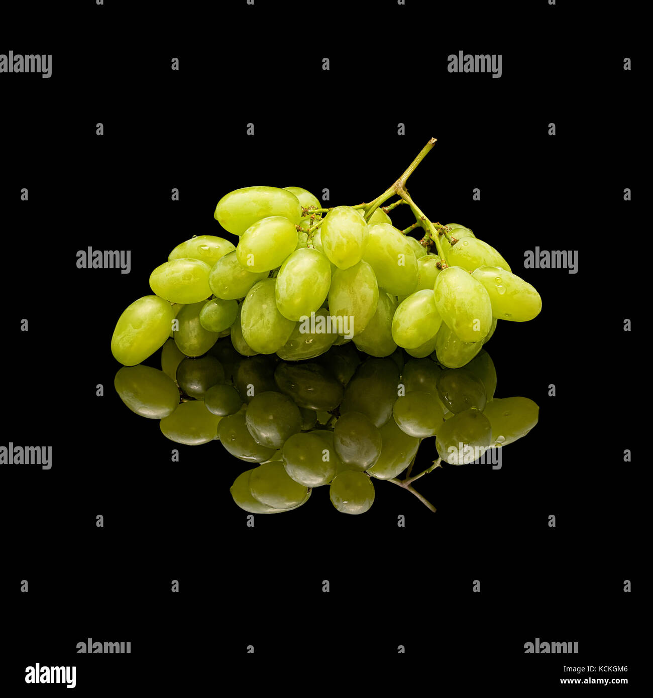 Bündel grüne Trauben mit Wassertropfen. Auf einem schwarz glänzenden Hintergrund mit echten Reflexion. Stockfoto