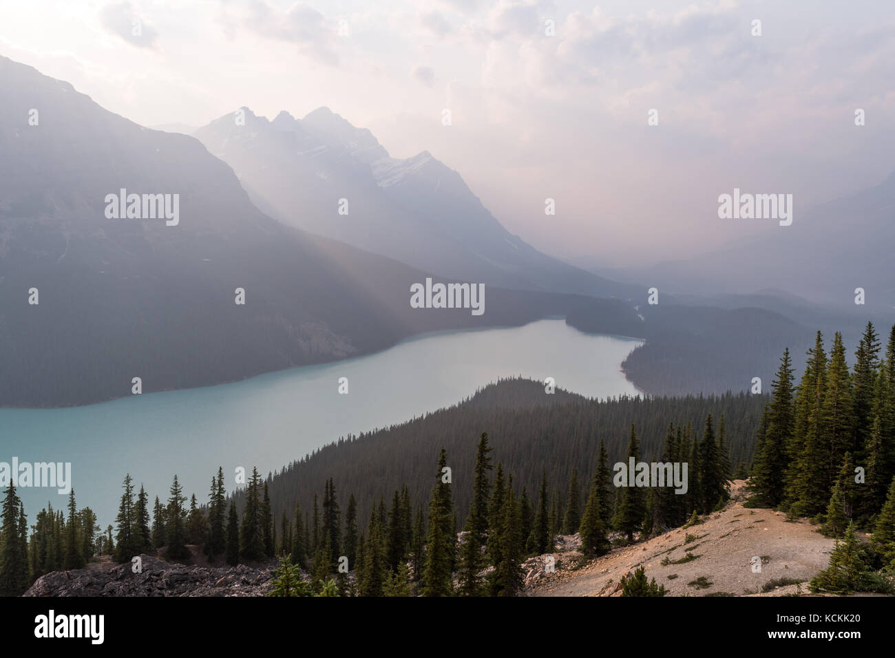 Peyto Lake in den Rocky Mountains. Stockfoto