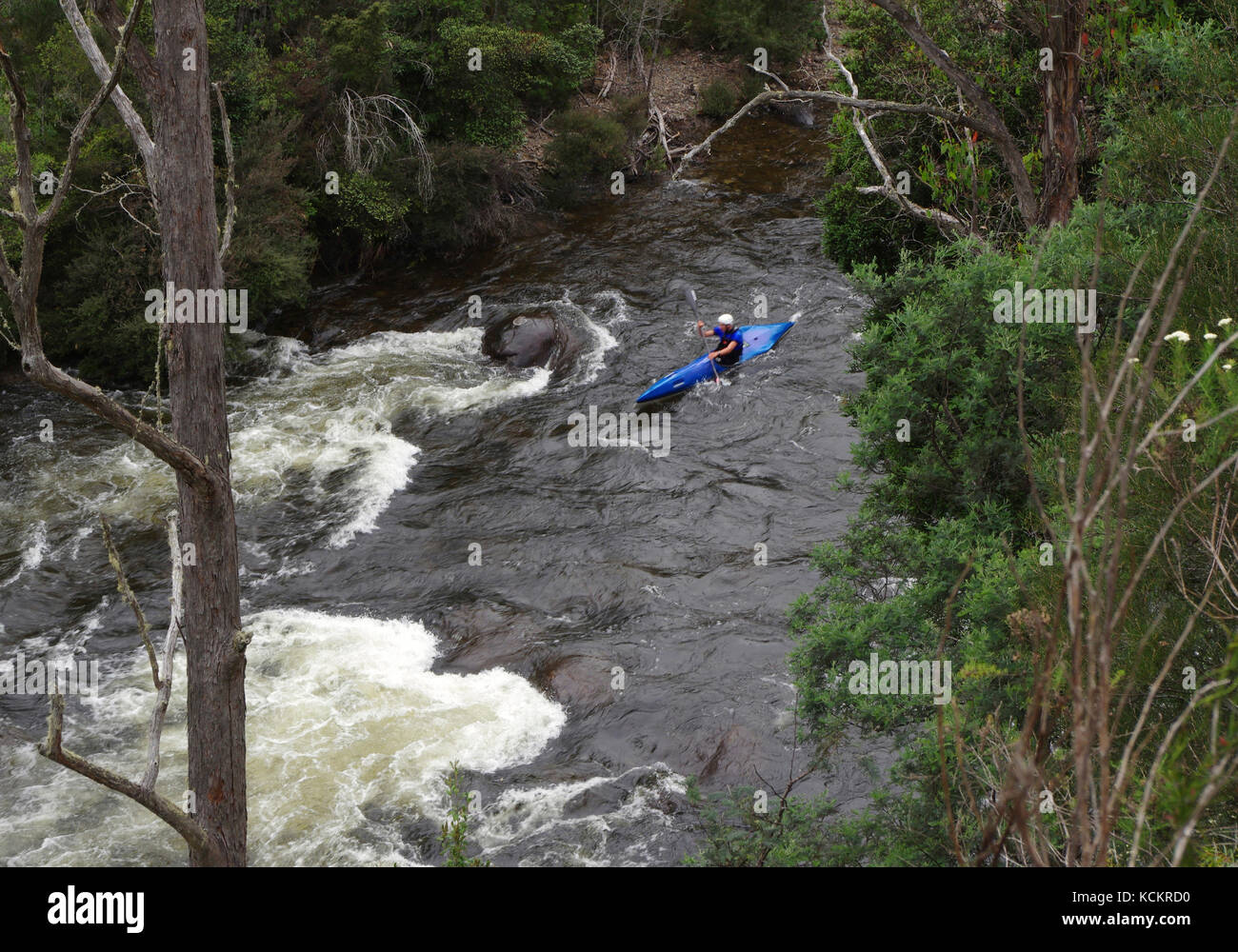 Australian Wildwater Championships am Upper Mersey River, Wildwasser der Klasse 2-3. Forestry Tasmania Whitewater Reserve, in der Nähe von Devonport, Tasmanien, Au Stockfoto