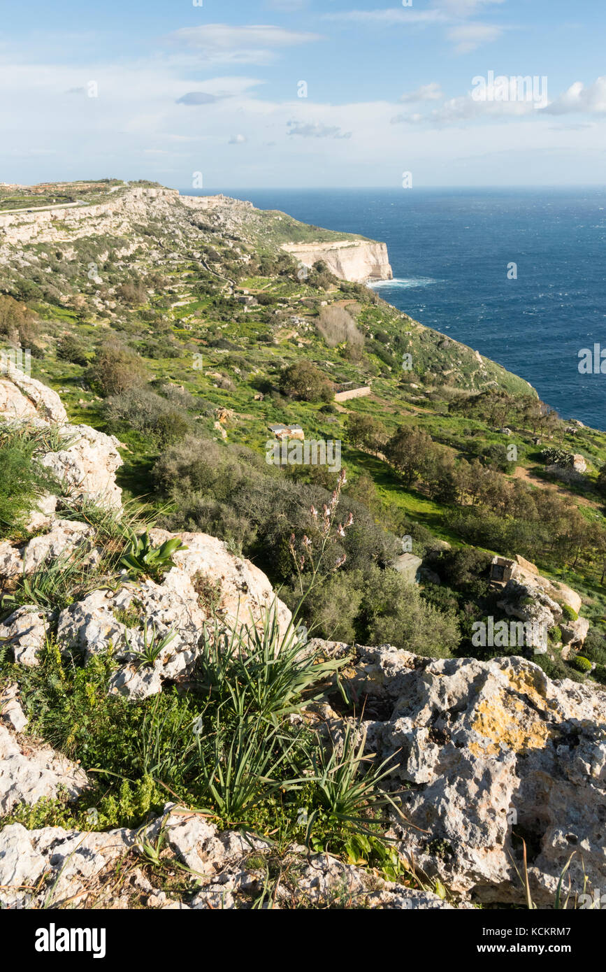 Die felsige und zerklüftete Dingli Cliifs im Süden Mäntel von Malta mit e Meer im Hintergrund Stockfoto