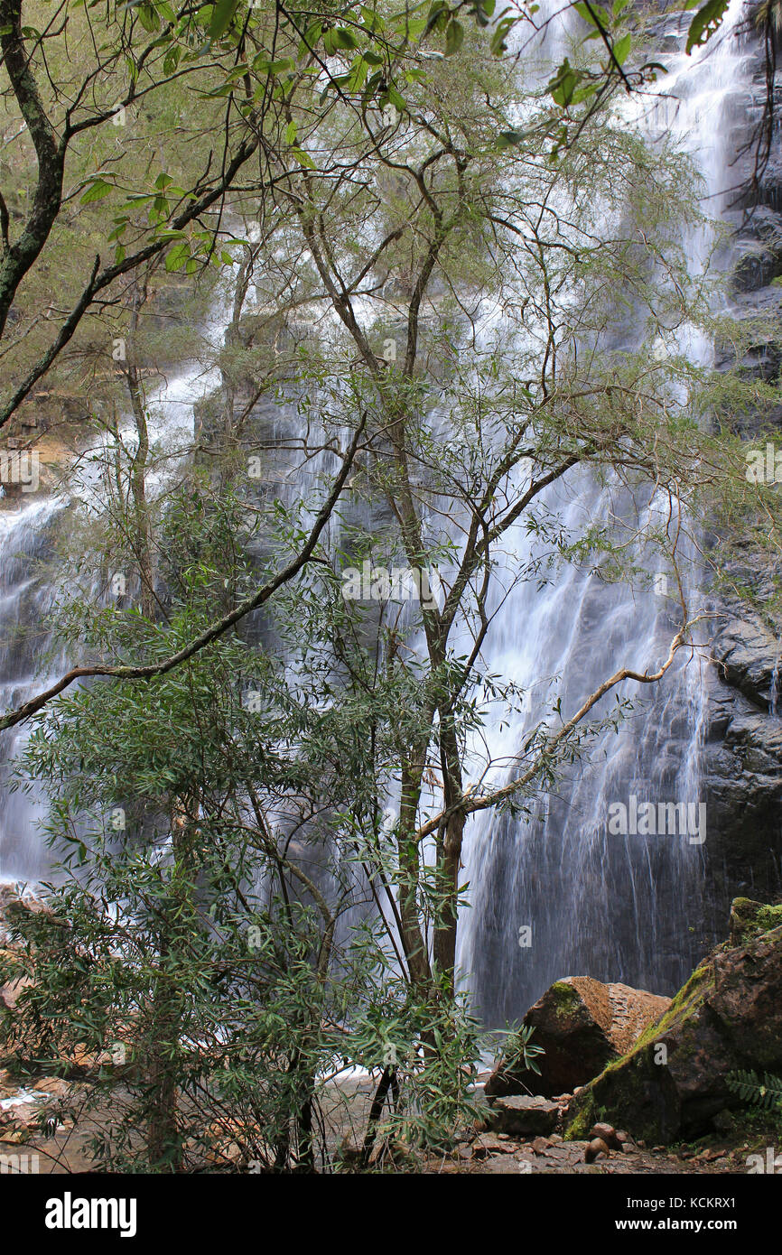 Bluff Falls, Burrowa-Pine National Park, Victoria, Australien Stockfoto