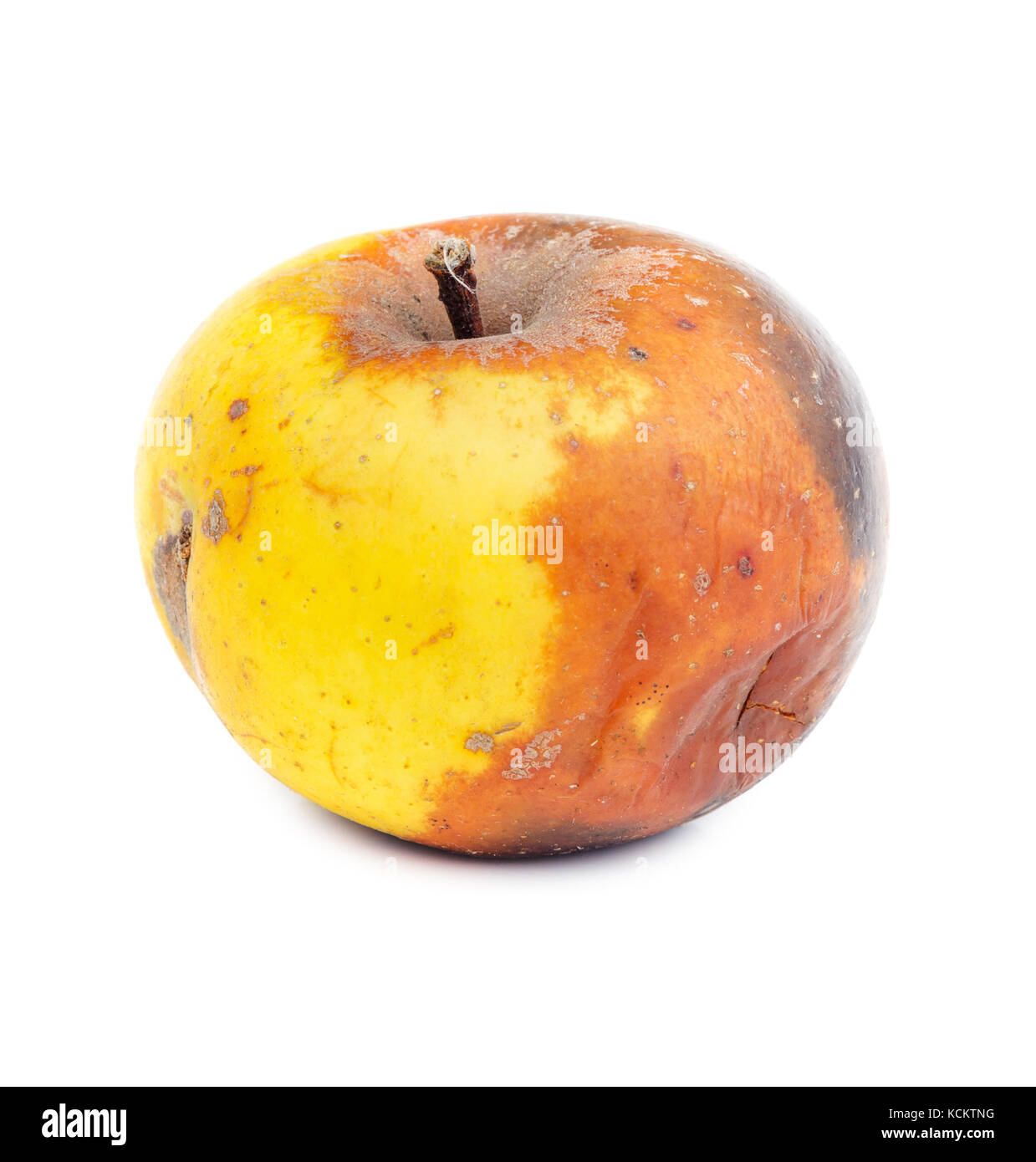 Faule und schimmelig, gelber Apfel auf weißem Hintergrund. Verschimmeltes Gemüse. Stockfoto