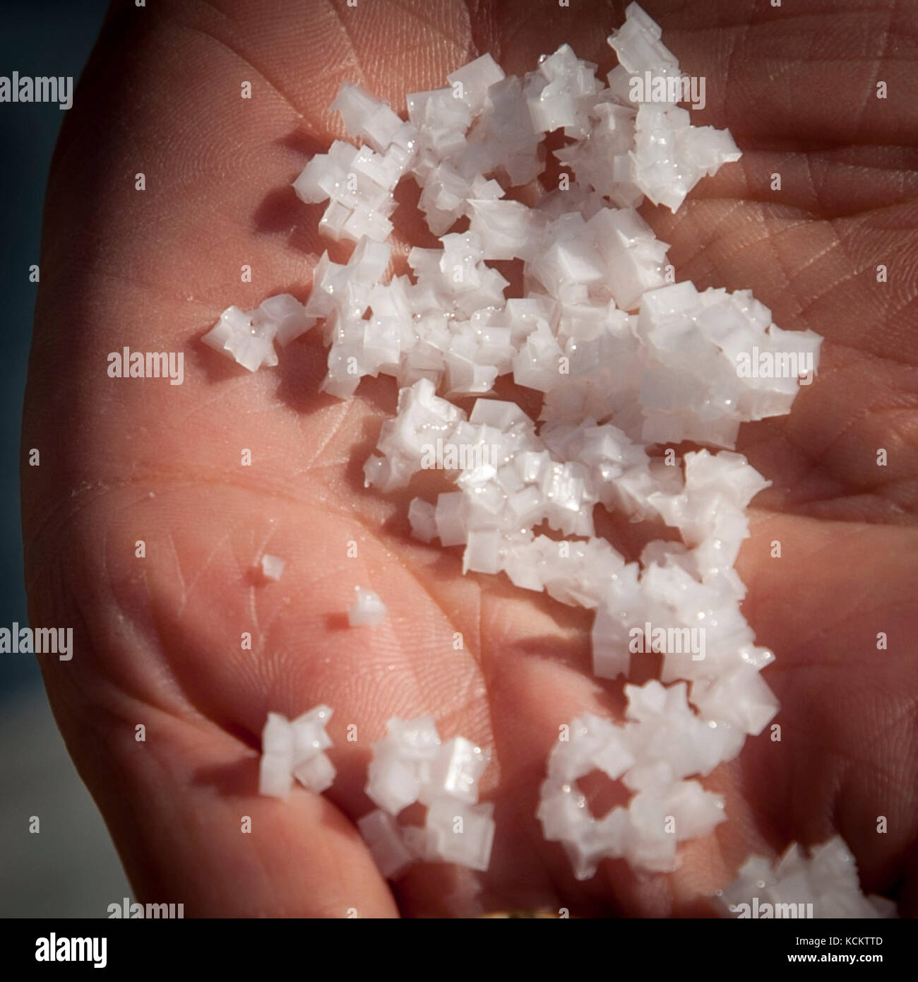 West-Wind Fleur de Sel Stockfoto