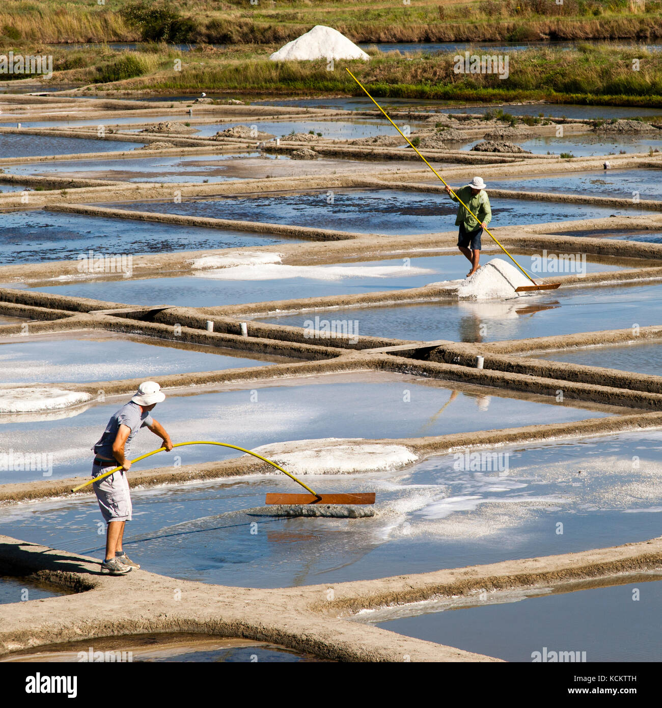 Zwei französische Paluderer bauen Meersalz ab. Bretagne Guerande: Die Salzbauern in ihrer täglichen Arbeit Stockfoto