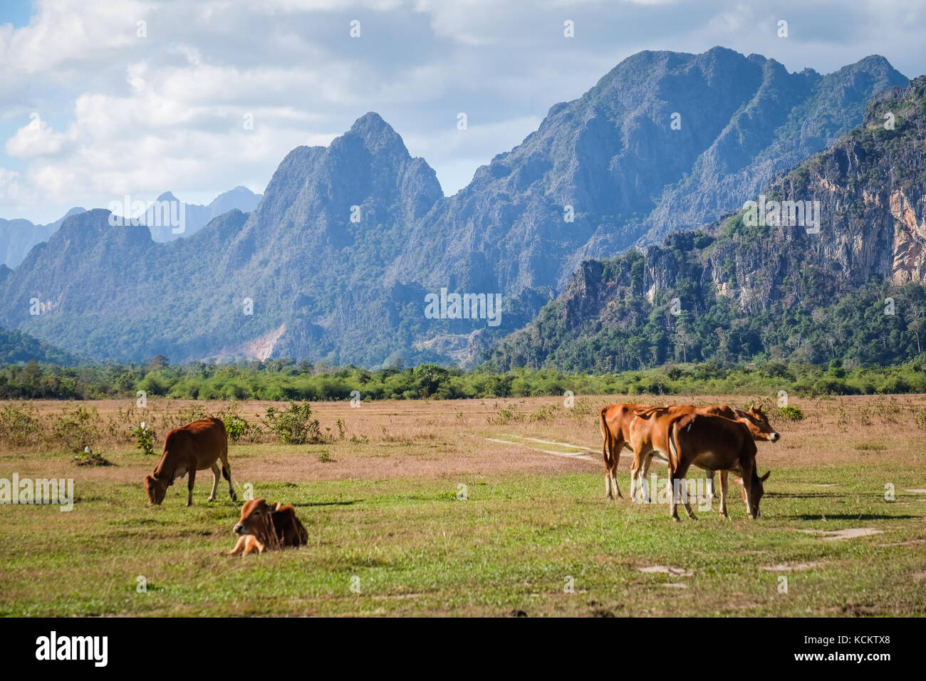 Kalkstein Landschaft in der Nähe von Lak Sao in der Provinz Bolikhamsai in Laos. Stockfoto