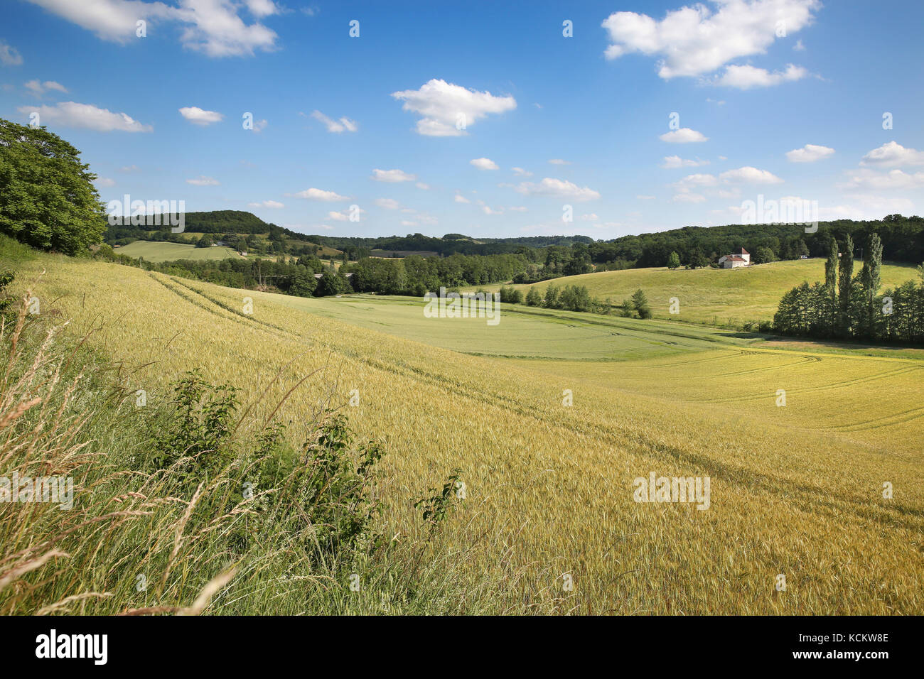 Ländliche Landschaft der Lot-et-Garonne, in der Region "Pays de Serres' Stockfoto