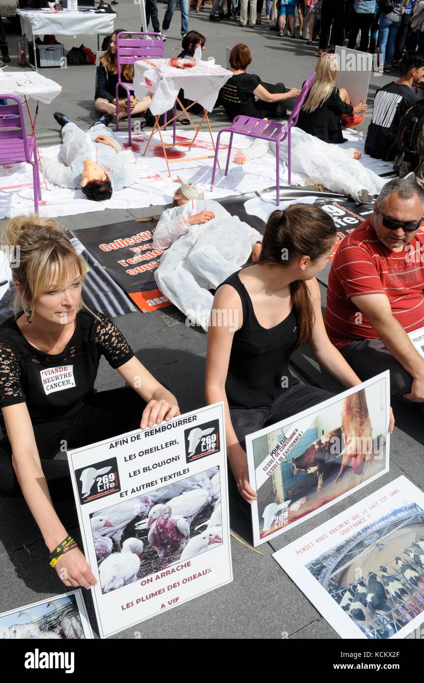 L269 Tierschutzaktivisten protestieren gegen Tierverstöße und fordern die Schließung von Schlachthöfen in Lyon, Frankreich Stockfoto