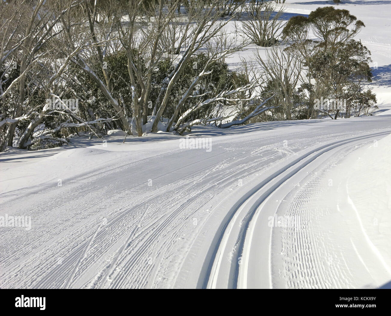 Eine Langlaufloipe in Falls Creek, vielleicht Australiens Premier-Langlaufgebiet mit einem umfangreichen Netz an Loipen. Falls Creek Alpine R Stockfoto