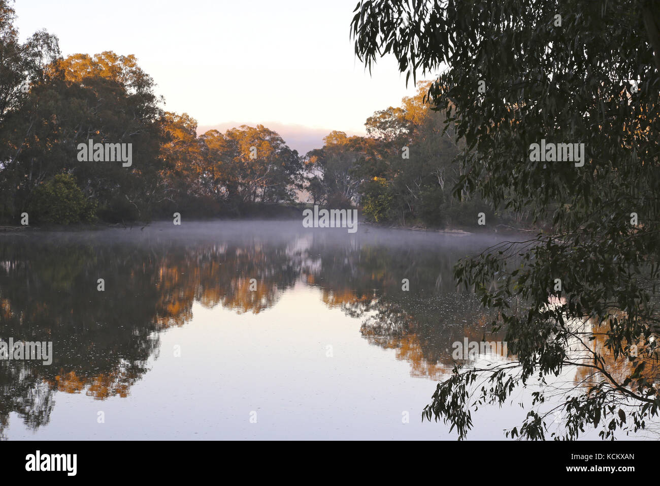 Am frühen Morgen auf dem Goulburn River, Angeln, Bootstouren und Urlaubsziel am Flussufer. Seymour, im Zentrum von Victoria, Australien Stockfoto