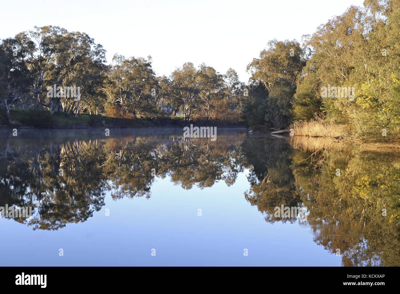 Am frühen Morgen auf dem Goulburn River, Angeln, Bootstouren und Urlaubsziel am Flussufer. Seymour, im Zentrum von Victoria, Australien Stockfoto