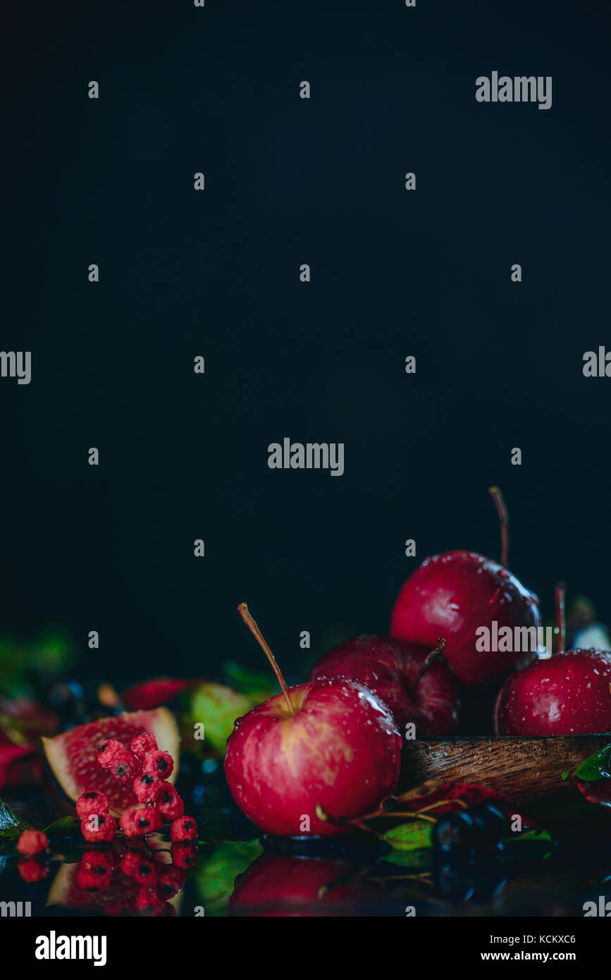Kleine rote Miniatur Äpfel Close-up in einem Herbst noch Leben mit Laub. Dunkle essen Fotografie mit kopieren. Stockfoto
