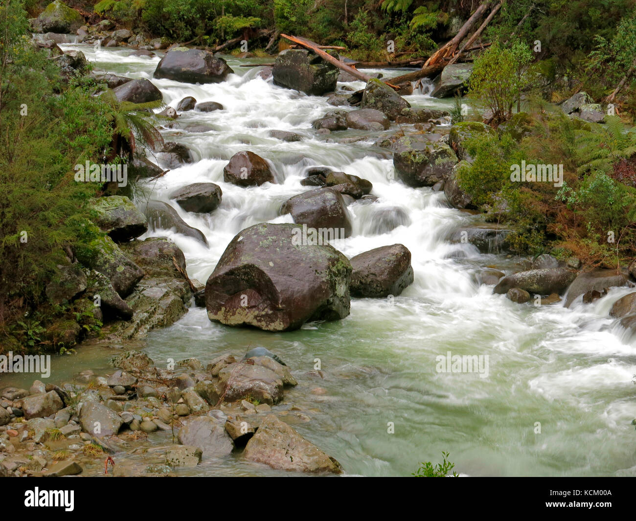 Kiewa River, der die Falls Creek Area und Bogong High Plains abfließt. In Der Nähe Von Bogong, Victorian Alps, Victoria, Australien Stockfoto