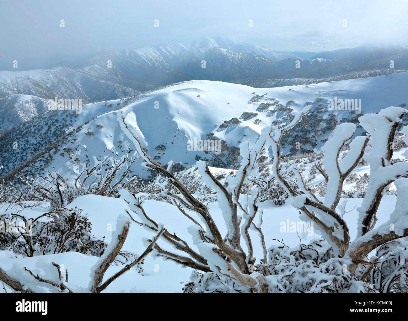 Blick am frühen Morgen auf die Berge in den Mount Hotham Schneefeldern. Viktorianische Alpen, nordöstlich von Victoria, Australien Stockfoto