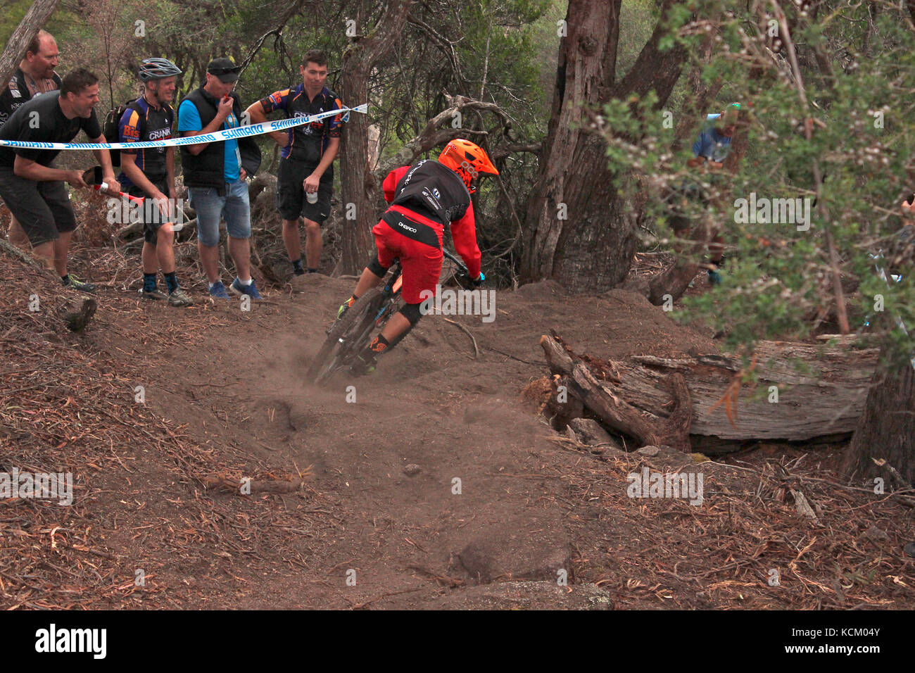 Teilnehmer in Runde 2 des Enduro World Series Mountainbike-Rennens auf einer Blue Derby-Strecke. Tasmanien, Australien Stockfoto