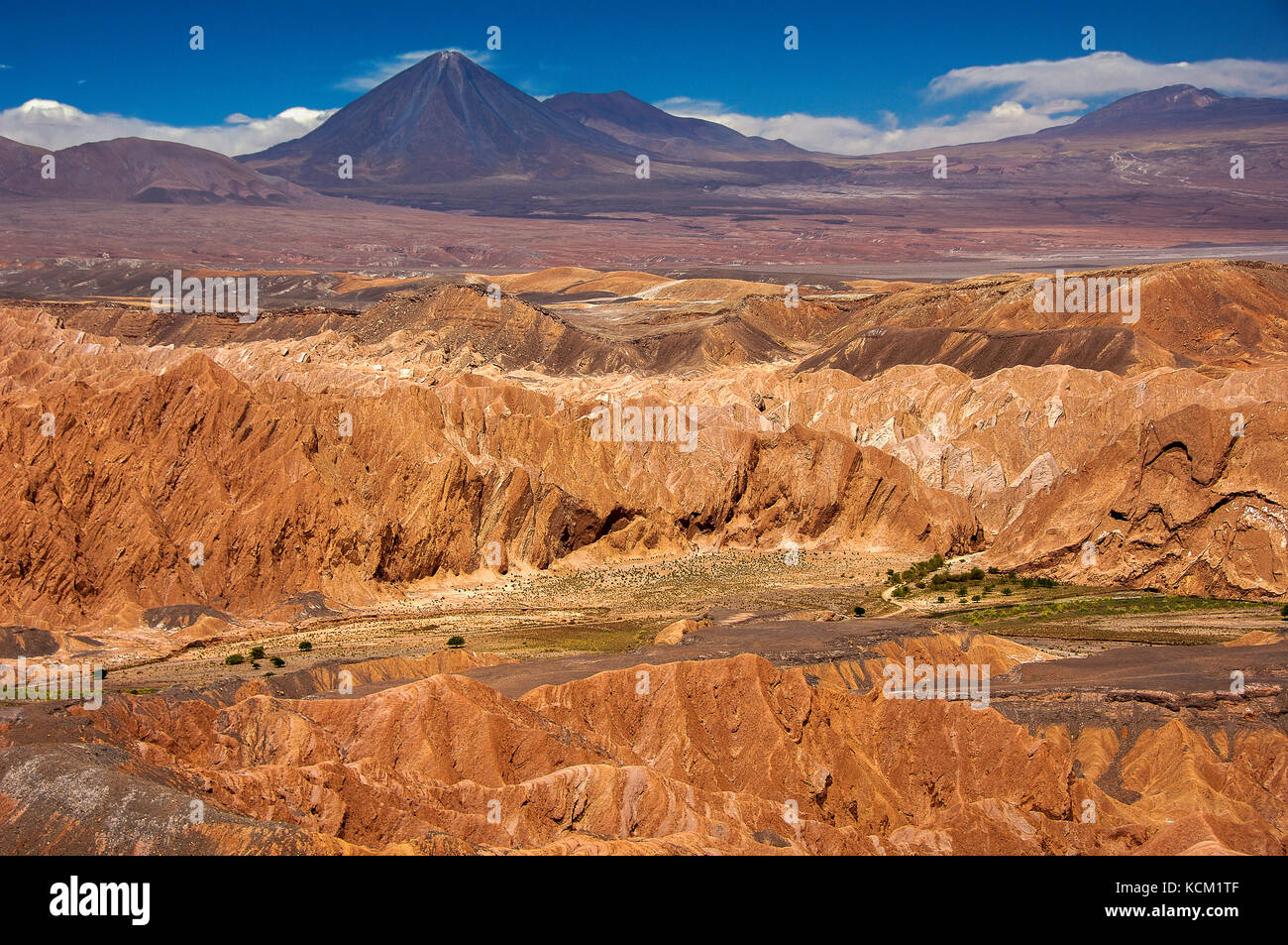 Chile von der "CORNICE" Blick der Cordillera de la Sal, der quitos Tal und Vulkan Licancabur (5950m). Stockfoto