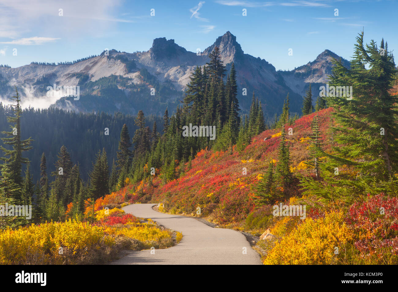 Die tatoosh Bereich oberhalb der Herbst Farben des Paradieses am Mount Rainier National Park, Cascade Range, Washington, USA. Stockfoto
