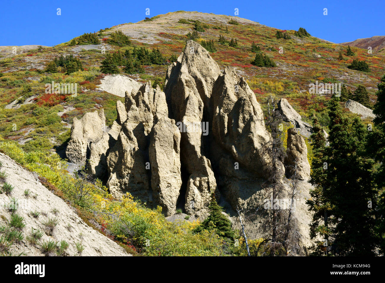 Erosion Felsspitzen auf Schafe Mtn. entlang Sheep Creek Trail, Kluane NP. Yukon. Kanada Stockfoto