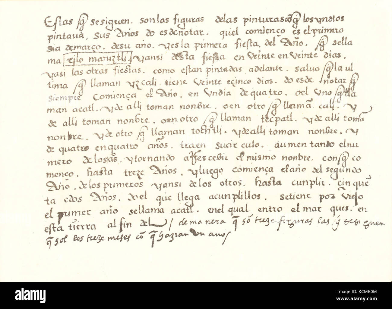 Folio 14v des Codex Magliabechiano, ein bedeutendes Dokument aus der mesoamerikanischen Kultur, das historische Informationen über indigene Gesellschaften liefert. Stockfoto