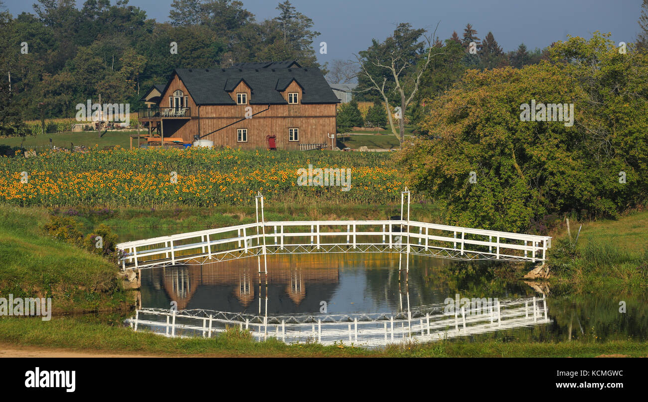 Reflexion von einer Brücke im Teich, ländlichen südlichen Ontario Kanada Stockfoto