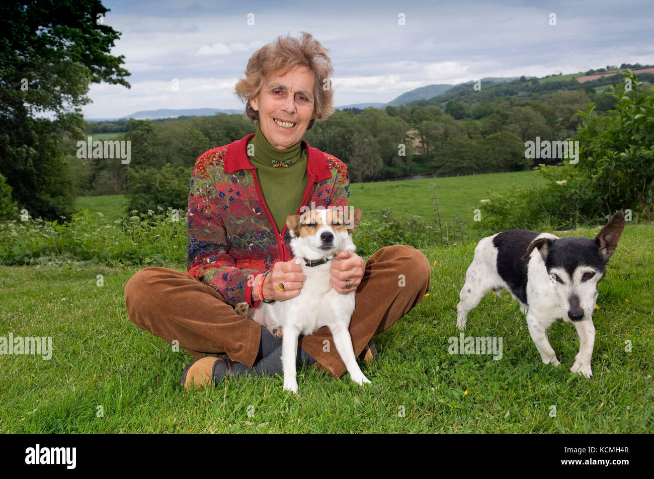 Revel Guest, Filmemacher, Autor, Journalist und Vorsitzende der Hay Festival (Standort hinter einige Bilder gesehen) Stockfoto