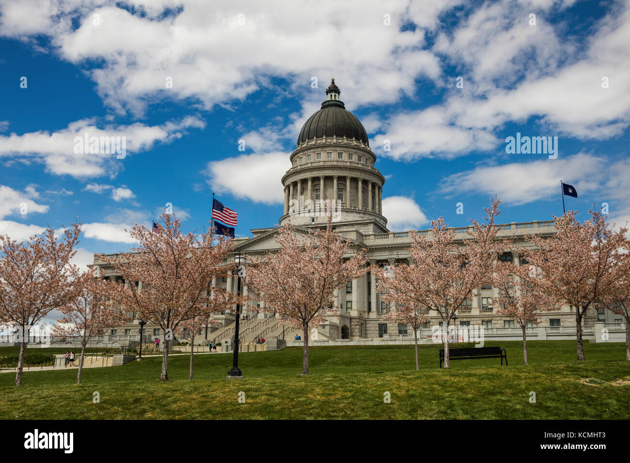 Kirschblüten, Utah State Capitol in Salt Lake City, Utah Stockfoto