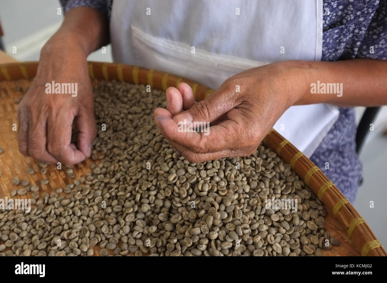 Konzept thai Kaffeebohnen, Hintergrund, Textur, Coffee Bean für leicht geröstet, Medium gebraten, dunkel geröstet, organischen Kaffee, Arbeitnehmern die Wahl der Stockfoto