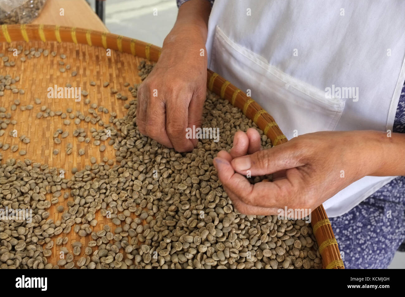 Konzept thai Kaffeebohnen, Hintergrund, Textur, Coffee Bean für leicht geröstet, Medium gebraten, dunkel geröstet, organischen Kaffee, Arbeitnehmern die Wahl der Stockfoto