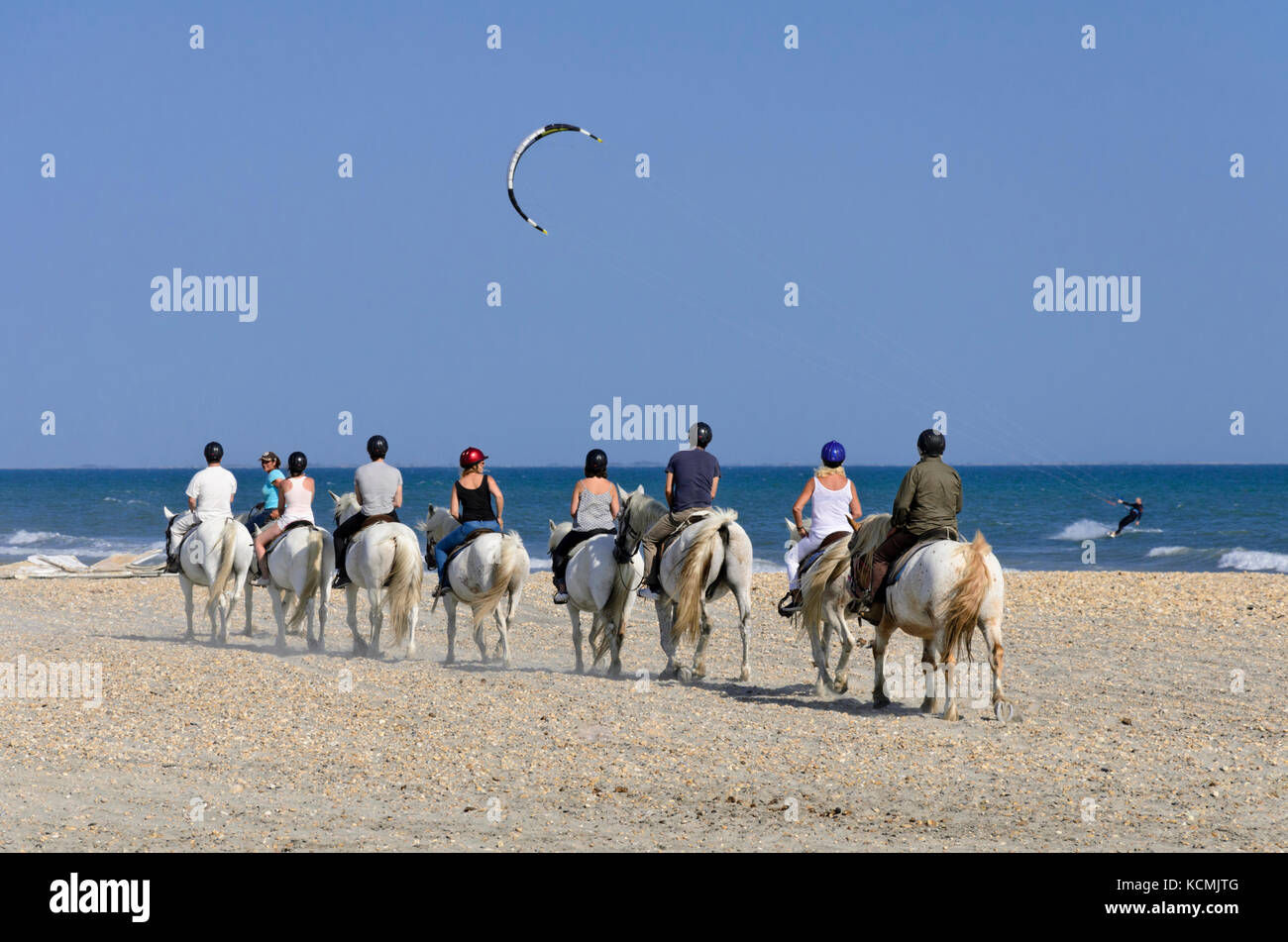 Reiter auf weißen Pferden, Camargue, Frankreich Stockfoto