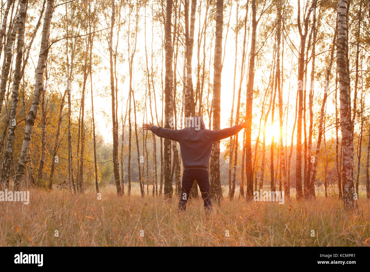 Glück & Freiheit/glücklicher Mann mit Händen umgeben von Bäumen Stockfoto